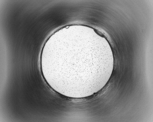 X0000095541199200801111427