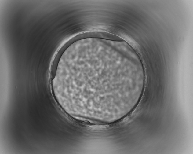 X0000095541200200801111427