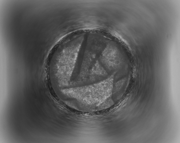 X0000095541208200801111426