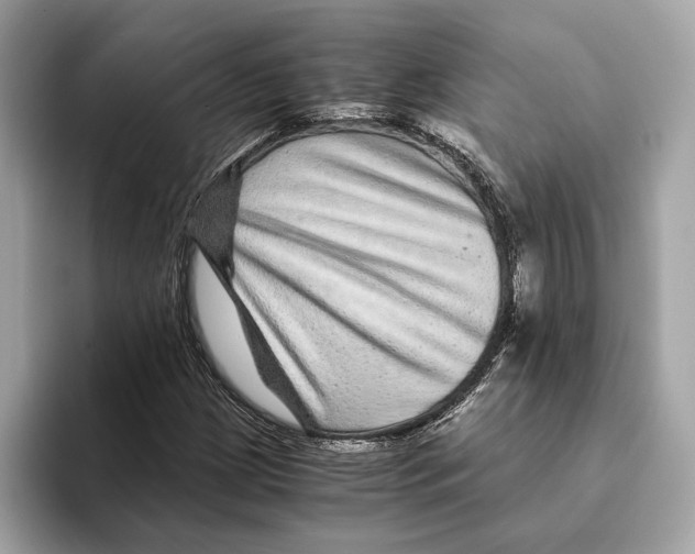 X0000095541209200801111426