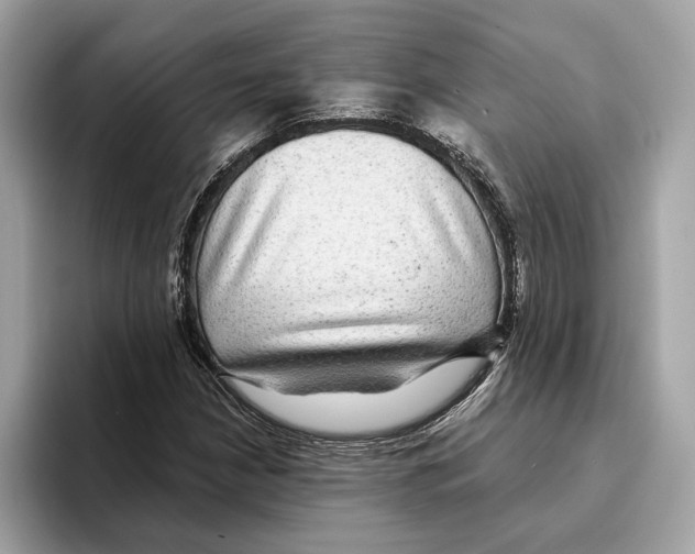 X0000095541210200801111426