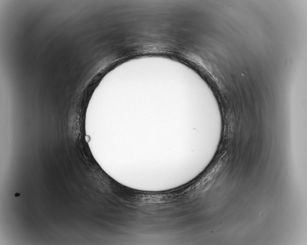 X0000095541211200801111426