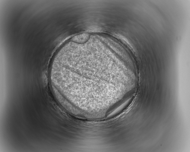 X0000095541212200801111426