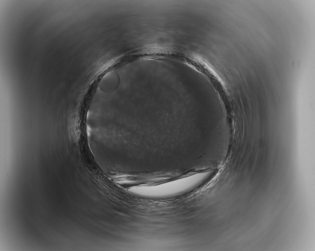 X0000095541213200801111426