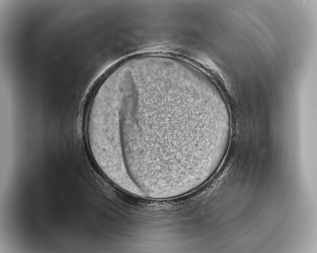 X0000095541216200801111426