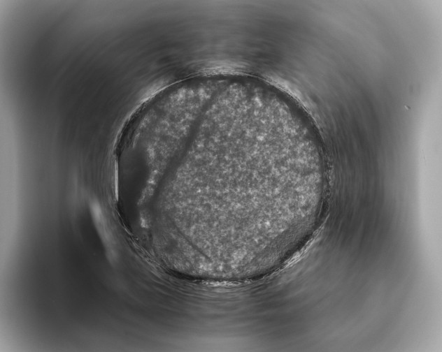 X0000095541219200801111426