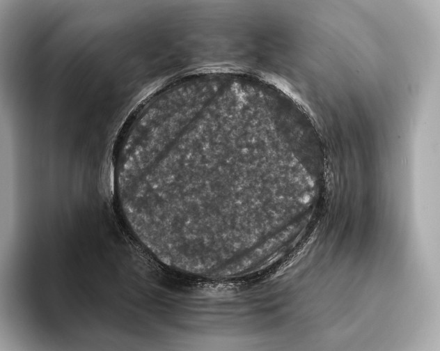 X0000095541221200801111426