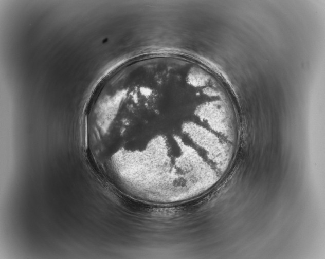 X0000095541223200801111426