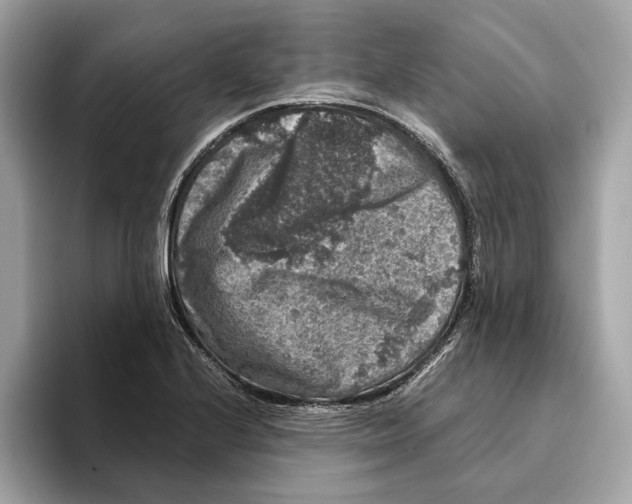 X0000095541224200801111426