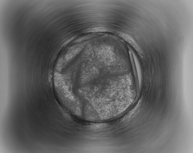 X0000095541225200801111426