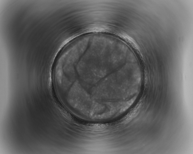 X0000095541226200801111426