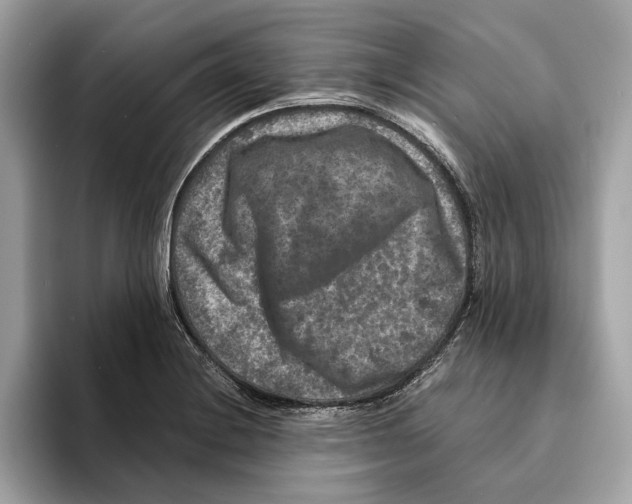 X0000095541228200801111426