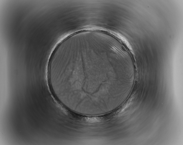 X0000095541231200801111427