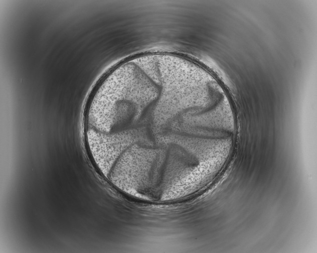 X0000095541232200801111427