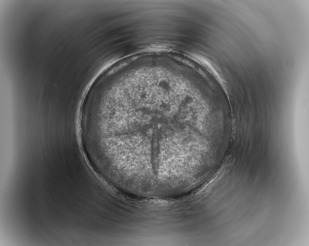 X0000095541235200801111427