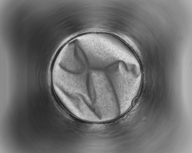 X0000095541238200801111427