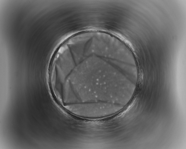 X0000095541239200801111427