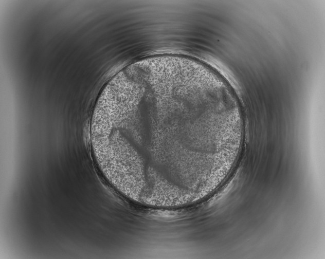 X0000095541241200801111427