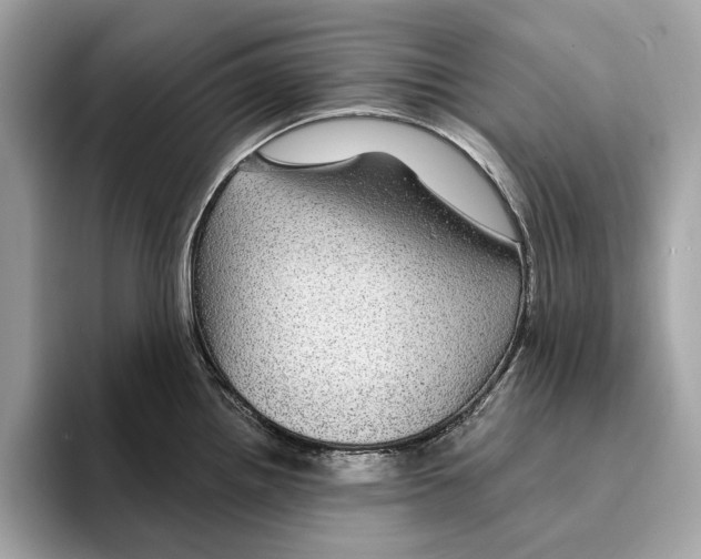 X0000095541242200801111427