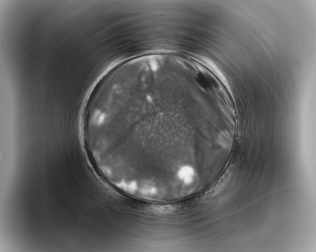 X0000095541243200801111427