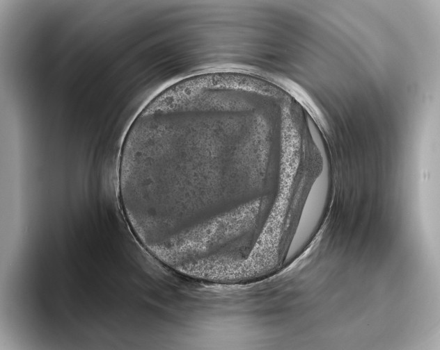 X0000095541244200801111427