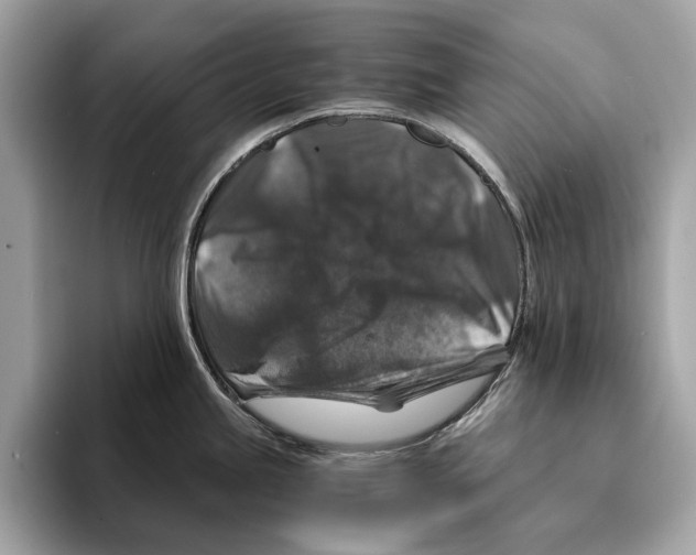 X0000095541245200801111427