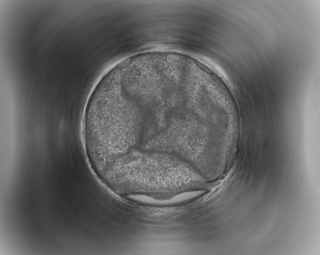 X0000095541247200801111427