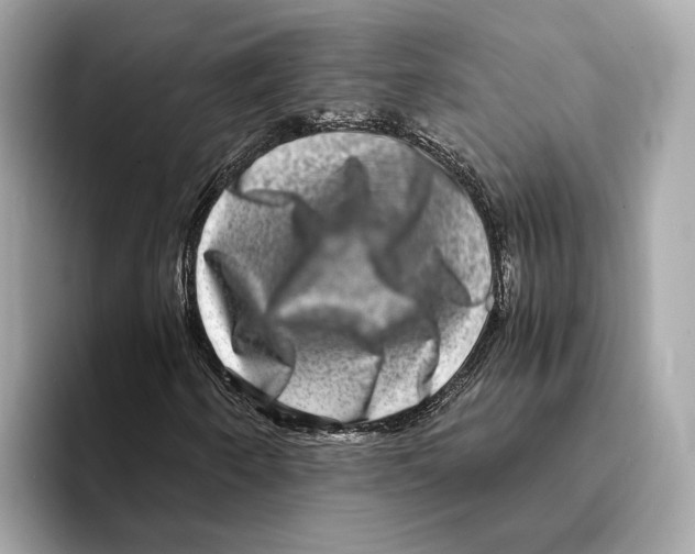 X0000095541250200801111426