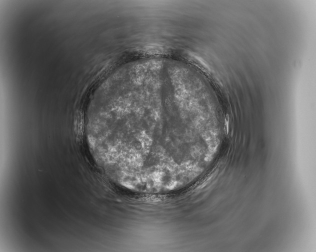 X0000095541251200801111426