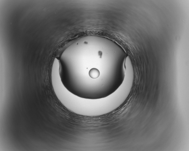 X0000095541252200801111426