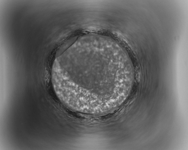 X0000095541253200801111426