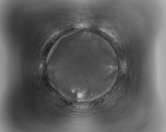 X0000095541254200801111426