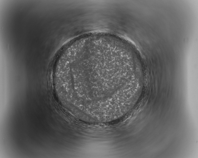 X0000095541255200801111426