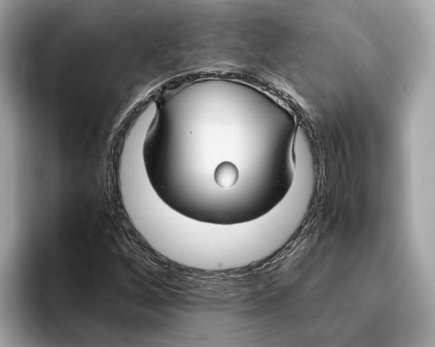 X0000095541256200801111426