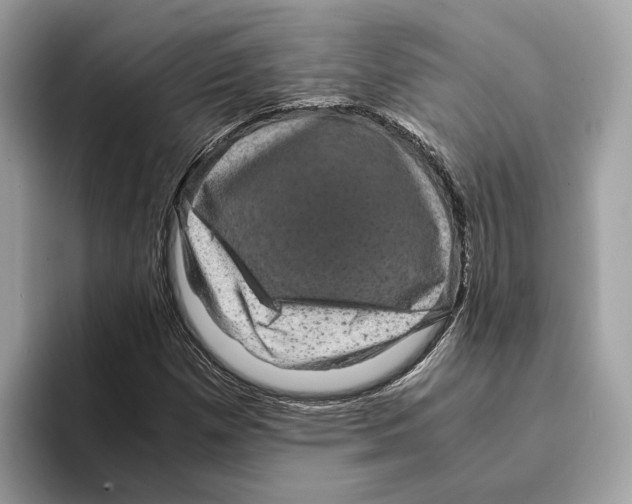 X0000095541257200801111426