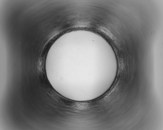 X0000095541258200801111426