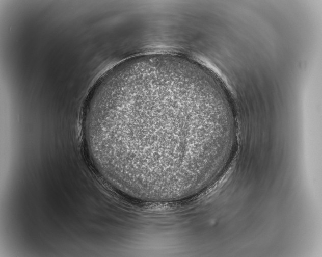 X0000095541259200801111426