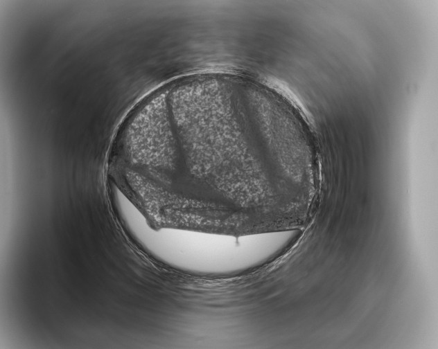 X0000095541260200801111426