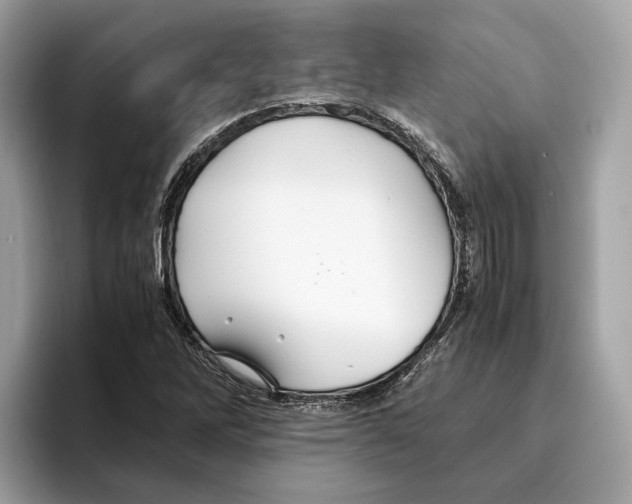 X0000095541262200801111426