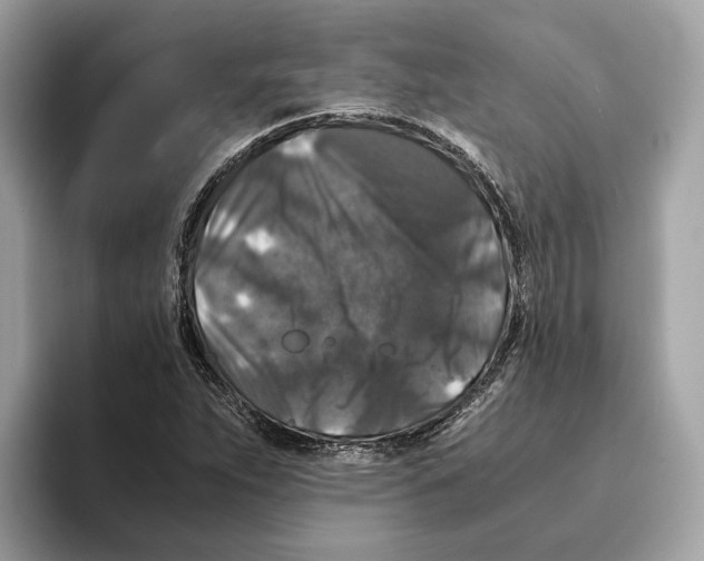 X0000095541263200801111426