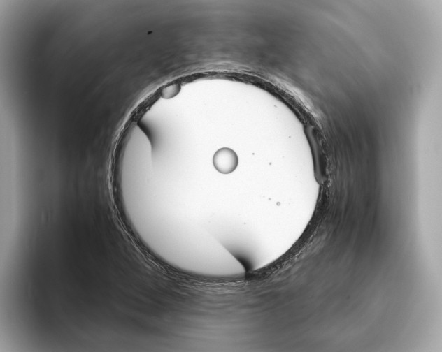 X0000095541264200801111426