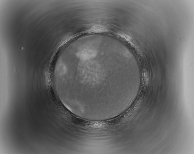 X0000095541266200801111426