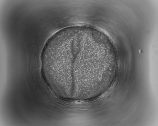 X0000095541267200801111426