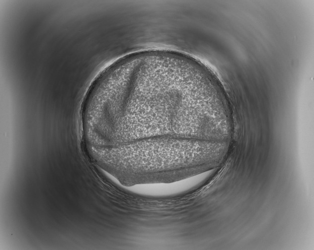 X0000095541271200801111426