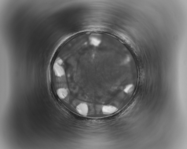 X0000095541275200801111426