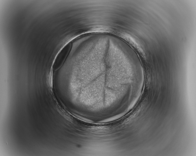 X0000095541276200801111426