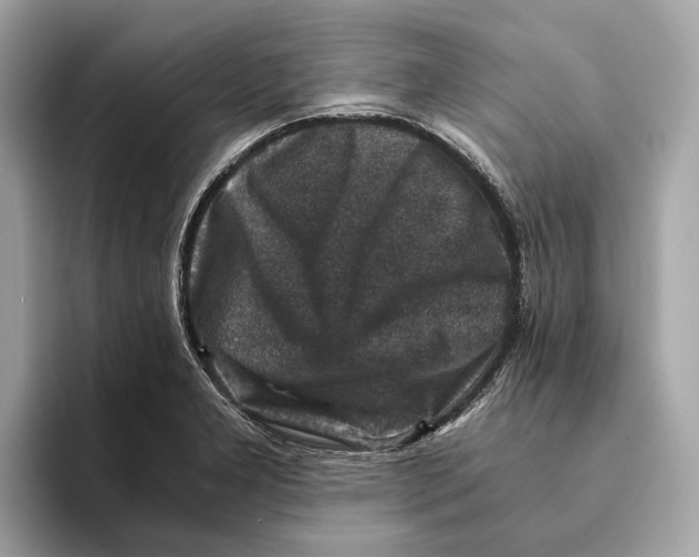 X0000095541277200801111426