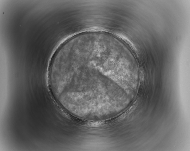 X0000095541278200801111426