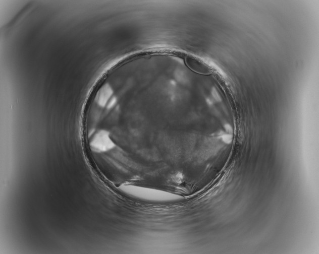 X0000095541279200801111426