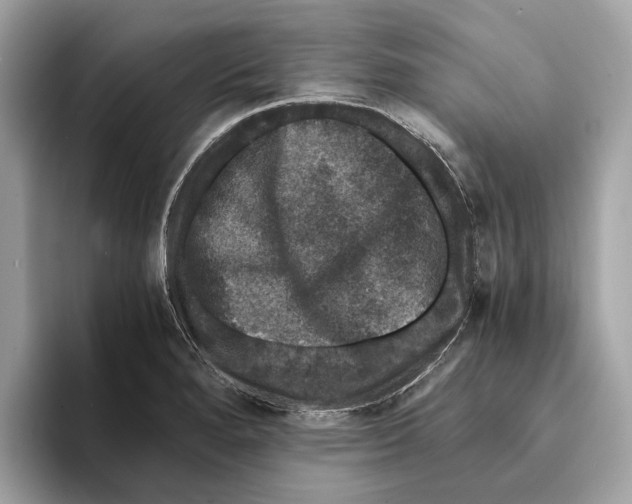 X0000095541280200801111426